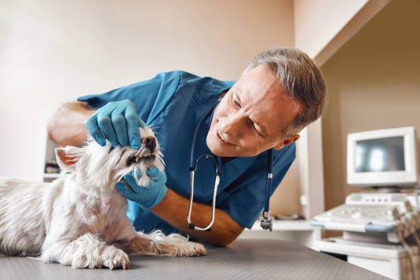 Best Emergency Tooth Extraction  in Lexington, TN